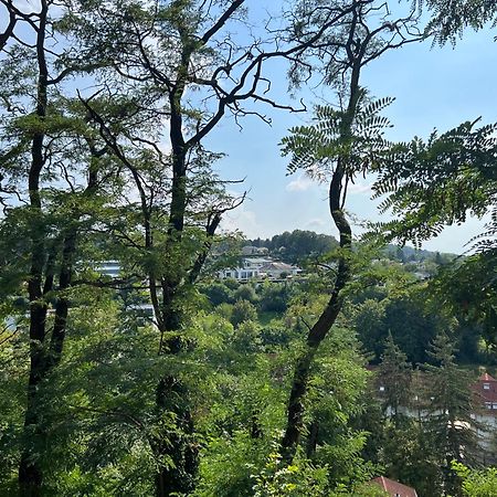 Luxuswohnung In Villa Mit Fantastischem Blick Καρλσρούη Εξωτερικό φωτογραφία